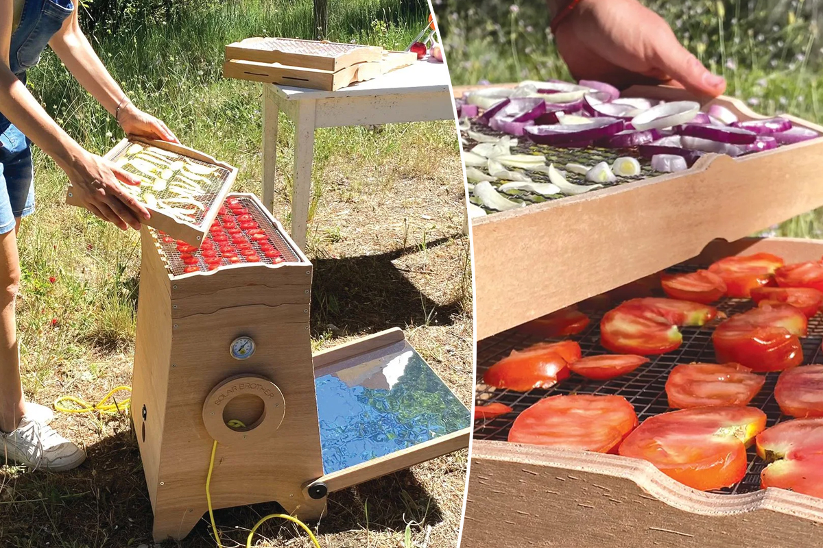 Un déshydrateur de fruits et légumes solaire