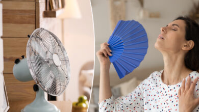 Quelques autres astuces pour profiter pleinement d’un ventilateur…