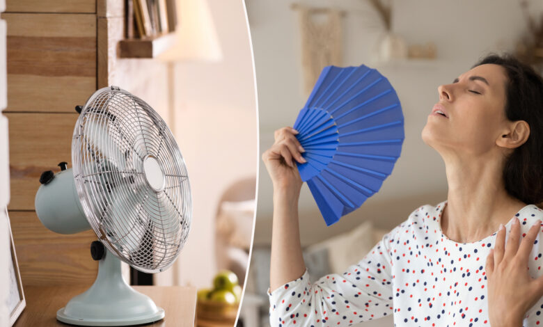 Quelques autres astuces pour profiter pleinement d’un ventilateur…