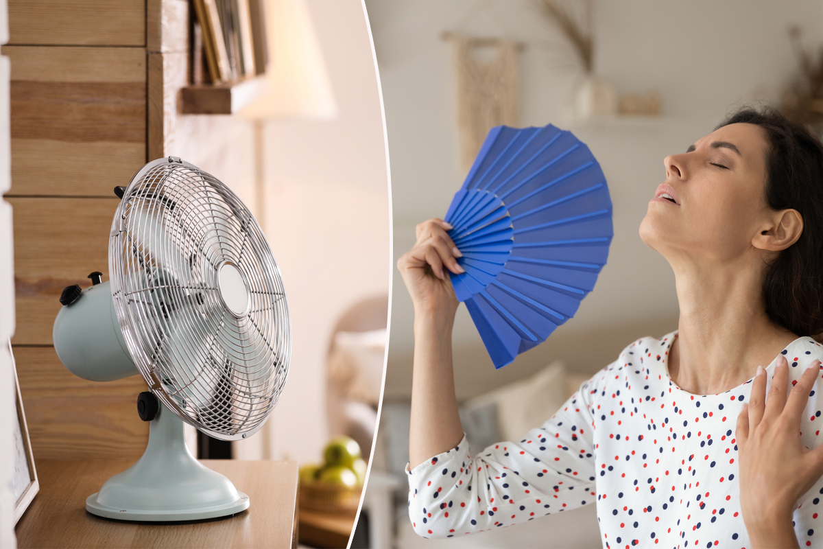 Quelques autres astuces pour profiter pleinement d’un ventilateur…