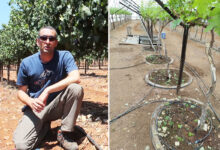 Un système d'irrigation expérimental