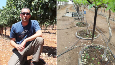 Un système d'irrigation expérimental