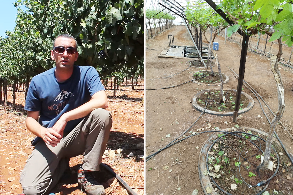 Un système d'irrigation expérimental