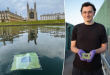Des "feuilles artificielles" flottantes qui génèrent des carburants propres à partir de la lumière du soleil et de l'eau / Dr Virgil Andrei.