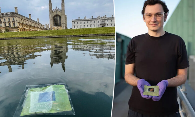 Des "feuilles artificielles" flottantes qui génèrent des carburants propres à partir de la lumière du soleil et de l'eau / Dr Virgil Andrei.