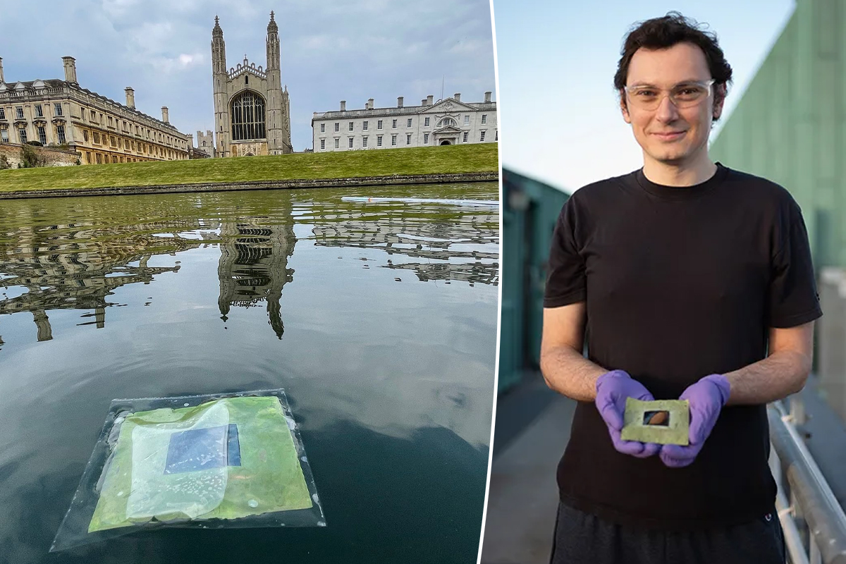 Des "feuilles artificielles" flottantes qui génèrent des carburants propres à partir de la lumière du soleil et de l'eau / Dr Virgil Andrei.