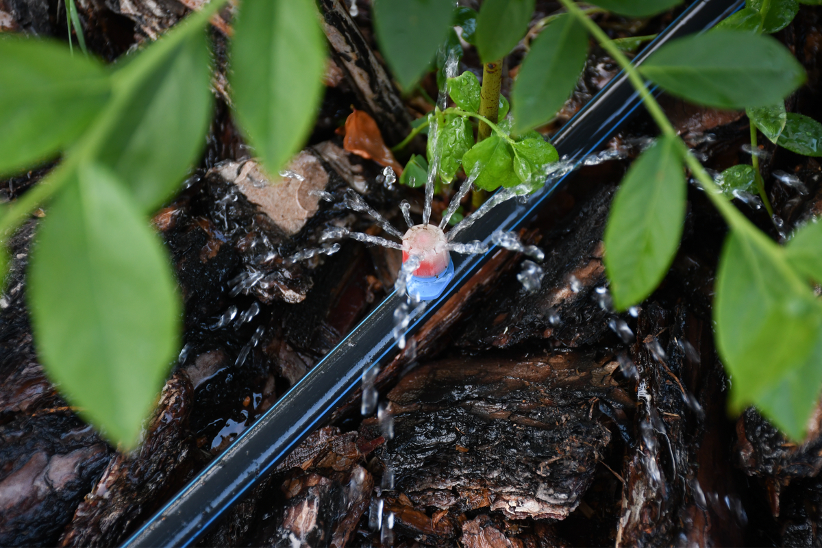 un système d'irrigation autosuffisant et économique en eau