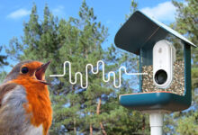 "Vous avertit des visiteurs d'oiseaux, capture leurs photos et les organise dans une belle collection"