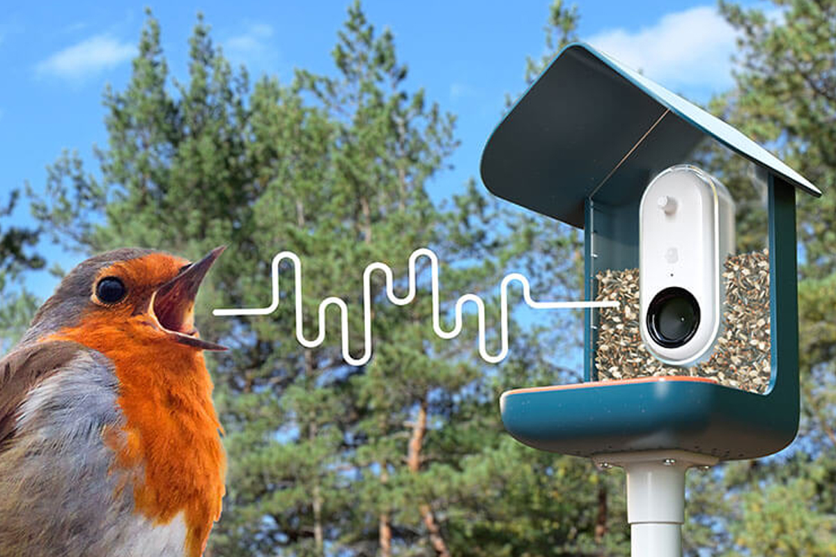 Mangeoire à oiseaux BOME - Caméra et Audio - Mangeoire à oiseaux Smart