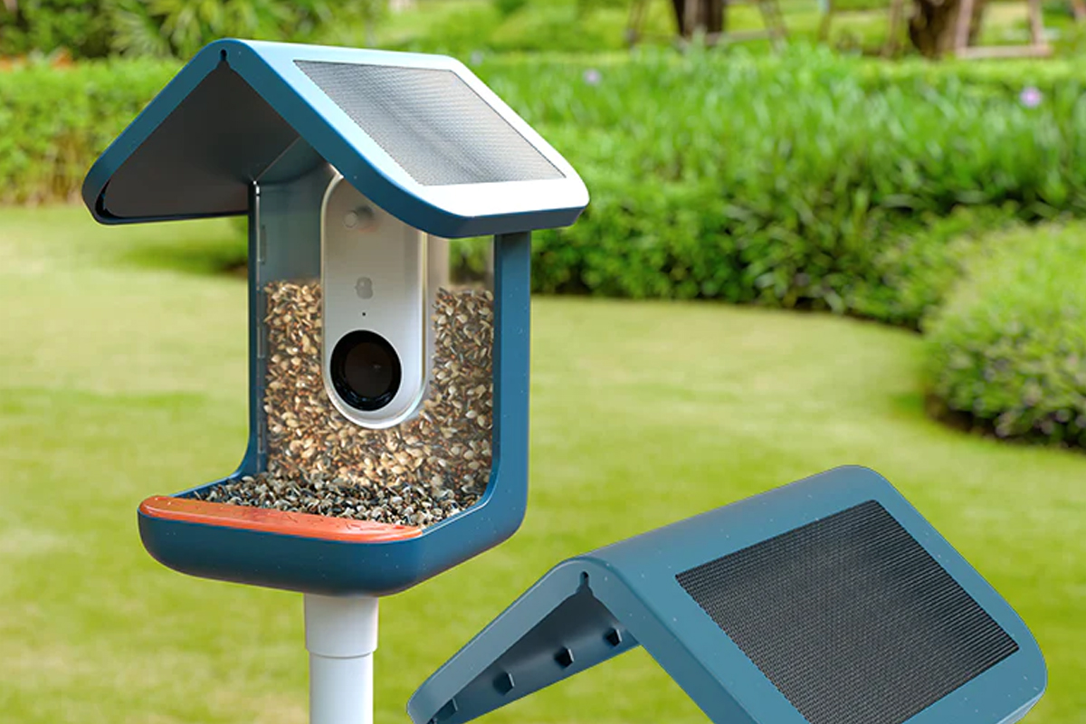 Une mangeoire connectée pour mieux photographier les oiseaux de votre  jardin 