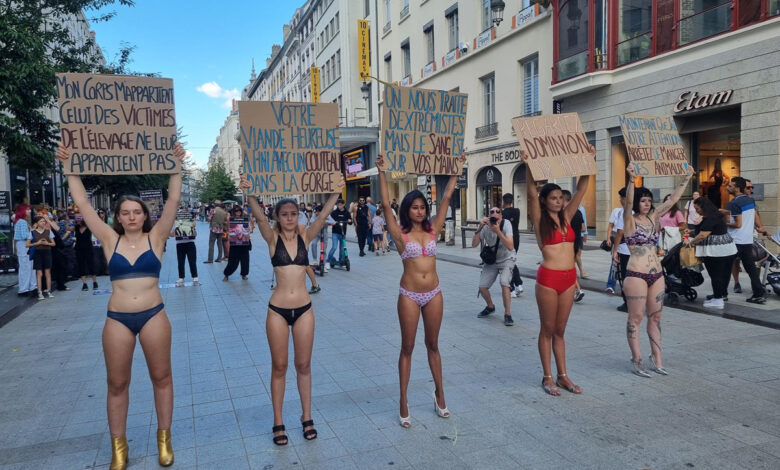 des militantes de l’association VeganImpact en lingerie