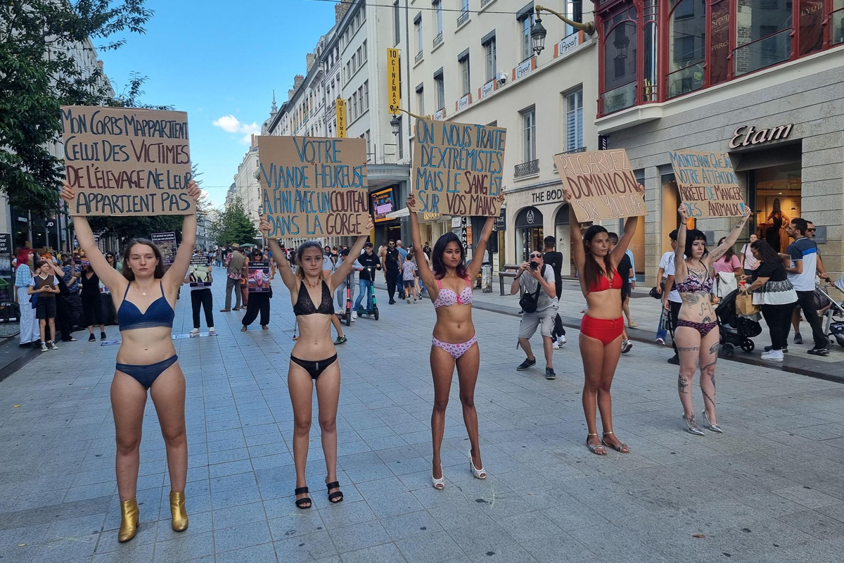 des militantes de l’association VeganImpact en lingerie