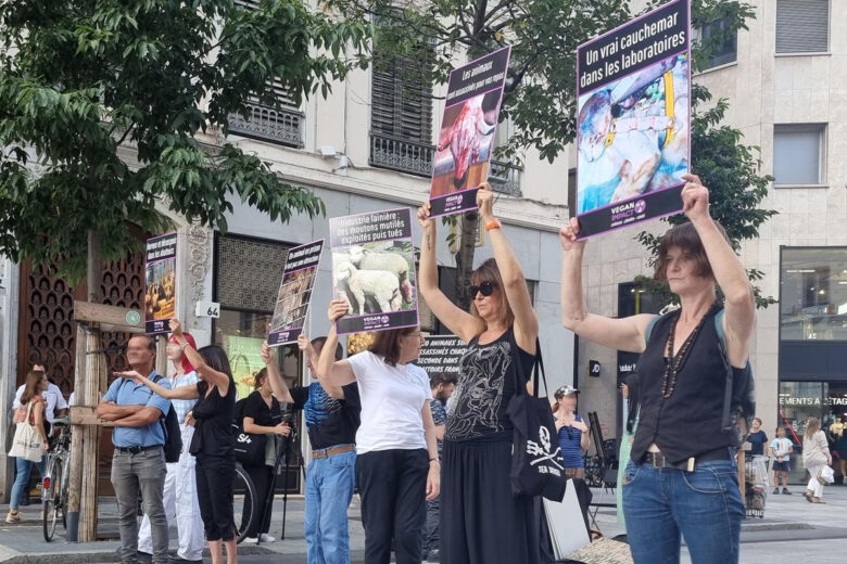 des militantes de l’association VeganImpact rue de la république à Lyon.