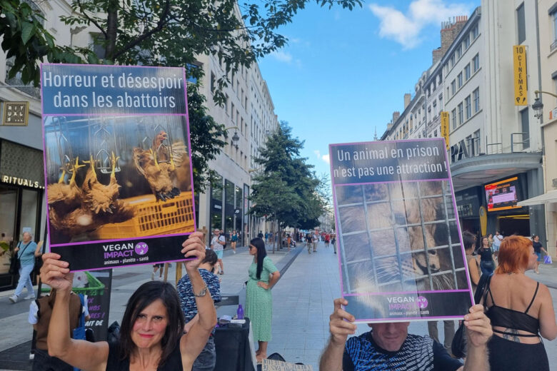 Des militantes de l’association VeganImpact rue de la république à Lyon.