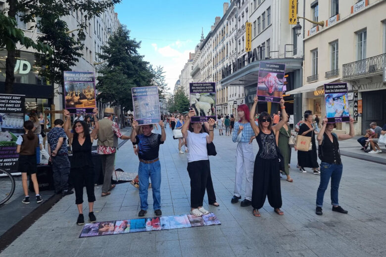 des militantes de l’association VeganImpact rue de la république à Lyon.