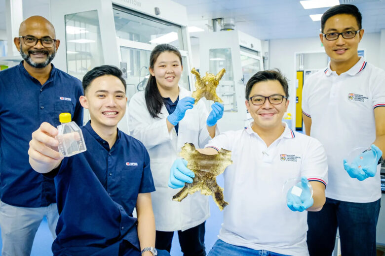 L'équipe de chercheurs avec des échantillons de peau de ouaouaron, et le pansement incorporant du collagène extrait de peaux de grenouille