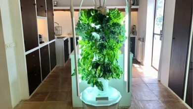 Tower Garden, un système aéroponique qui peut être utilisé à l’extérieur ou à l’intérieur.