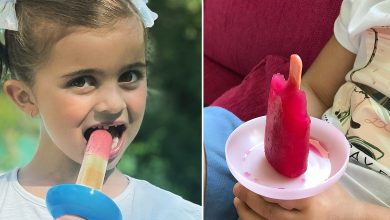 Le koolice se coulisse sur le bâtonnet en bois de votre glace et il récupère tout ce qui coule !