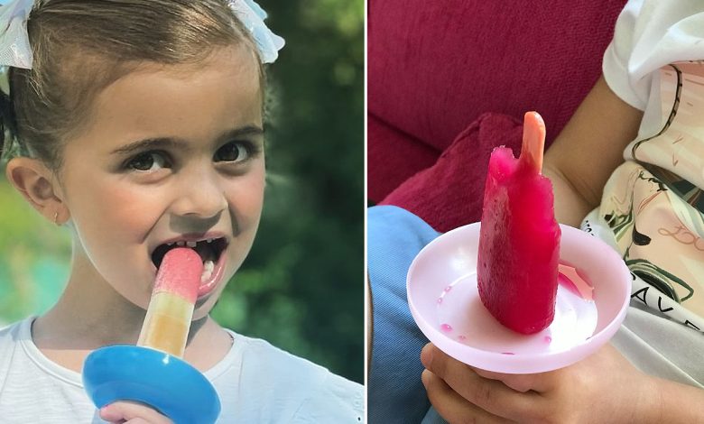 Le koolice se coulisse sur le bâtonnet en bois de votre glace et il récupère tout ce qui coule !