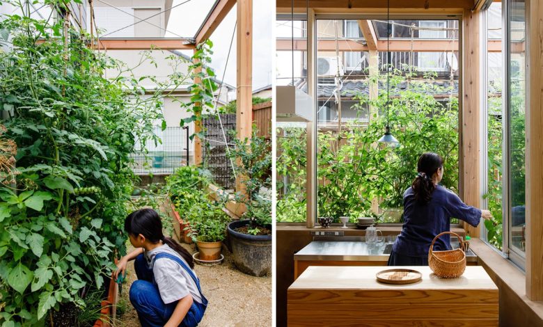 食住一体 / EDIBLE HOUSE