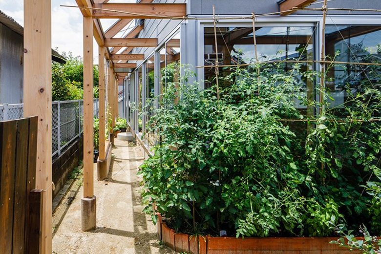 Une petite maison avec un grand jardin potager pour cultiver ses propres légumes.