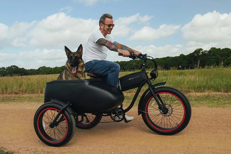 Le vélo parfait pour partir avec son animal de compagnie ? 