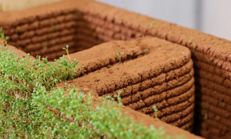 Des chercheurs ont développé une technologie 3D pour imprimer des structures capables de faire pousser des plantes