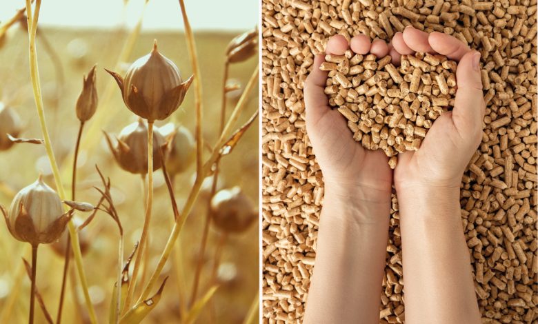 Des granulés (pellets) de lin