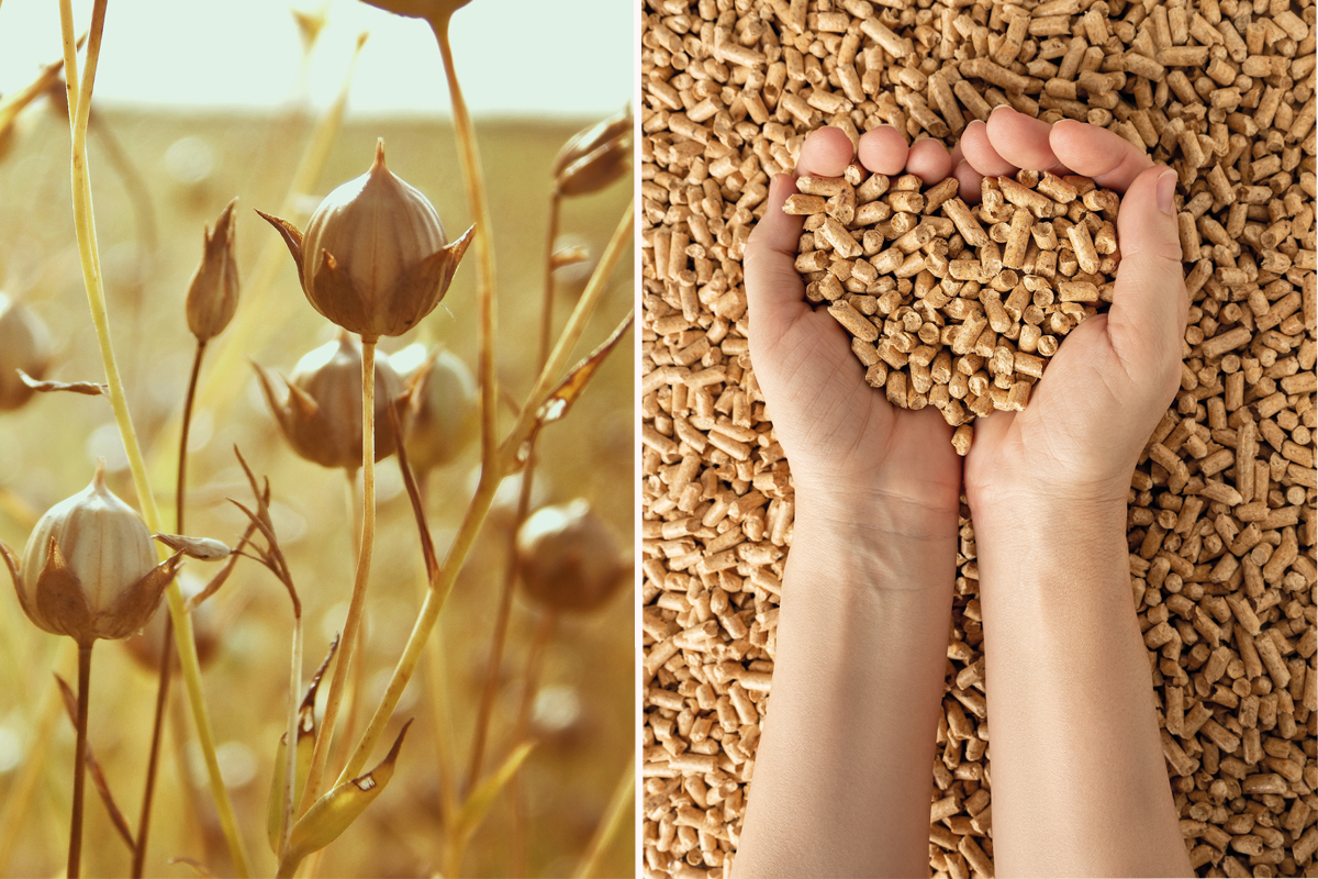 Poêle à granulés : l'invention d'un pellet anti goudron écologique pour  entretenir les équipements de chauffage - NeozOne