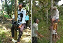 Face à la pénurie de main d’œuvre, un homme de 60 ans invente un scooter pour grimper aux cocotiers