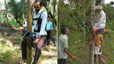 Face à la pénurie de main d’œuvre, un homme de 60 ans invente un scooter pour grimper aux cocotiers