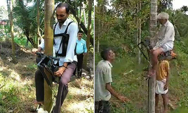 Face à la pénurie de main d’œuvre, un homme de 60 ans invente un scooter pour grimper aux cocotiers