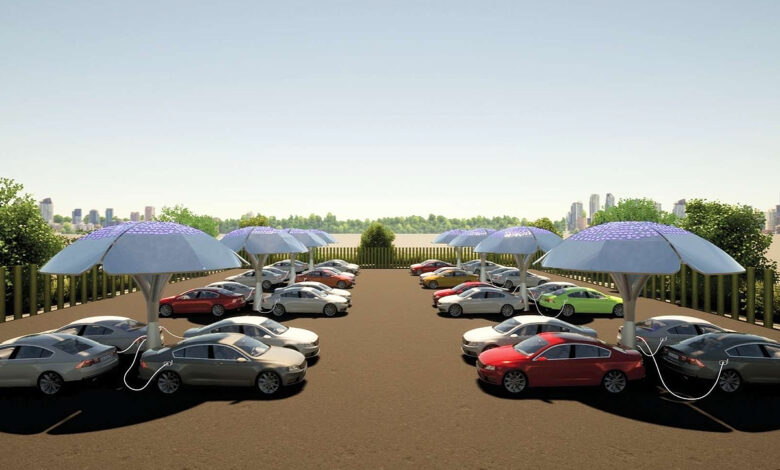 Un "arbre solaire" qui fait office de borne de recharge pour les véhicules électriques