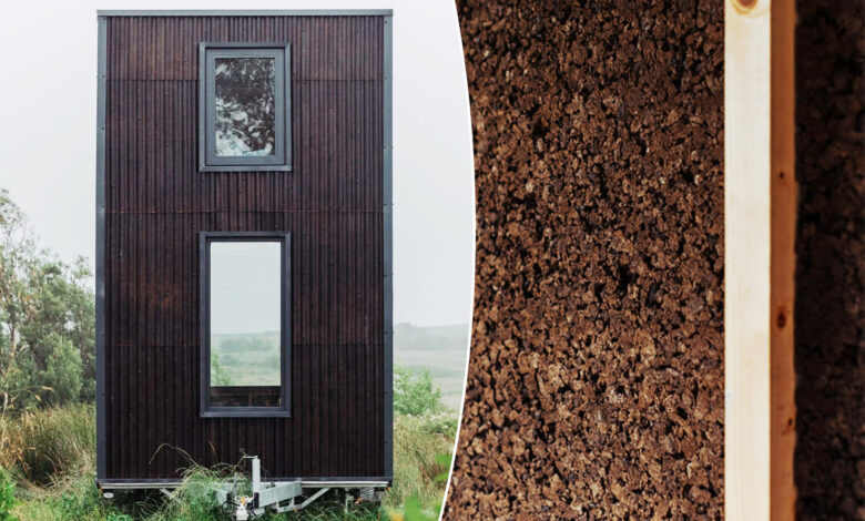 L'entreprise irlandaise Common Knowledge a collaboré avec Tigín Tiny Homes pour créer des micro-maisons à faible émission de carbone