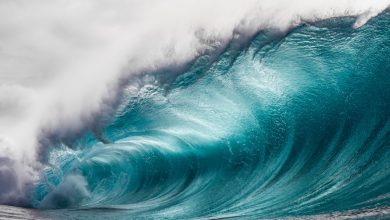 Récupérer de l'énergie des vagues.