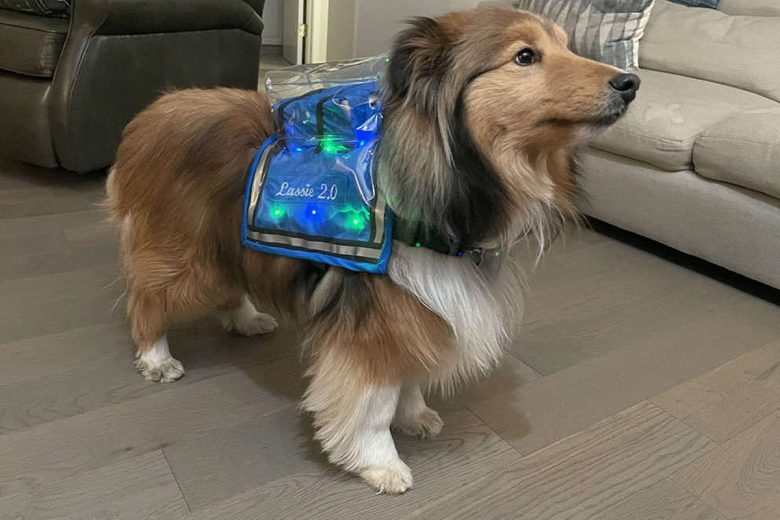 Lassie 2.0 comprend trois composants : l'appareil du maître-chien, un gilet pour chien et une application mobile.