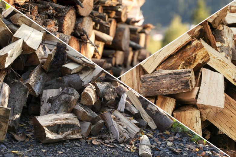 Quelles sont les espèces de bois les plus efficaces et les plus économes ?