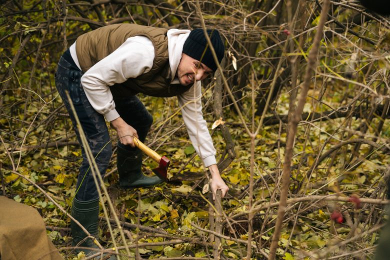 Peut-on couper légalement du bois de chauffage dans une forêt ?