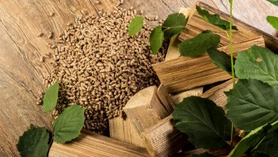 En théorie, les pellets de bois sont fabriqués à partir de résidus de bois.