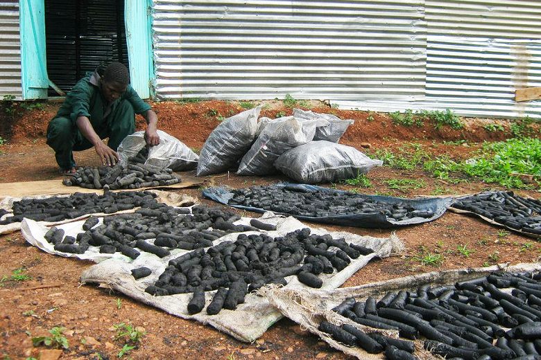 Des déchets agricoles recyclés en biocarburant