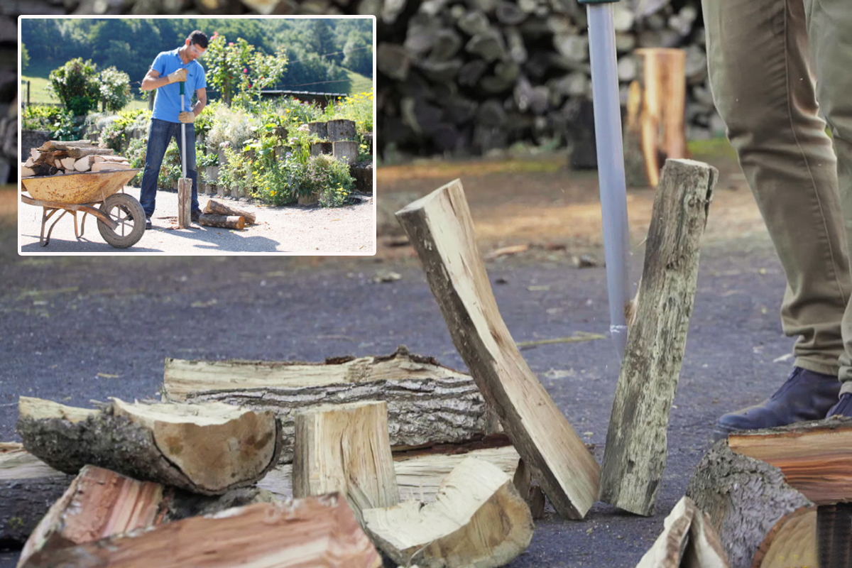 Réussir sa coupe de bois en toute sécurité Actualités – Leborgne