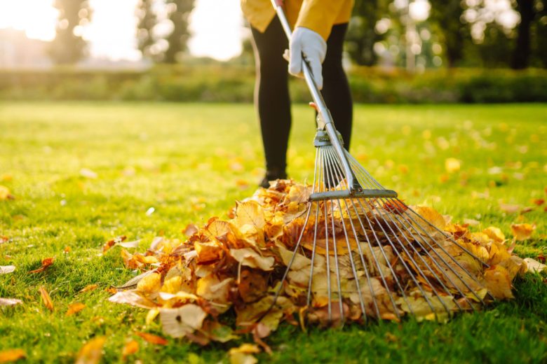 Des feuilles mortes pour chauffer les habitants d'Amiens