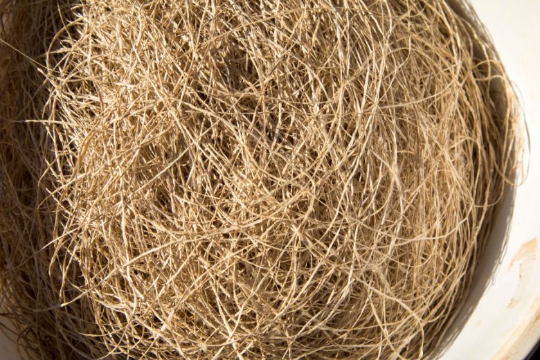 Des fibres naturelles de chanvre