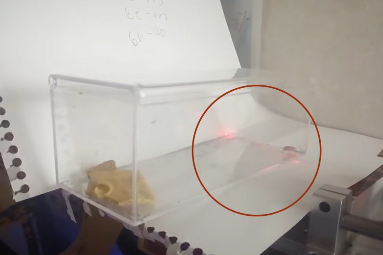 Le robot équipé d’un laser s'appuie sur une « vision artificielle » pour détecter les cafards.