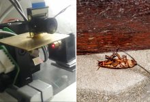 L'invention d'un robot chargé d'éliminer les cafards grâce à un laser d'une portée de 1,2 mètre de distance.