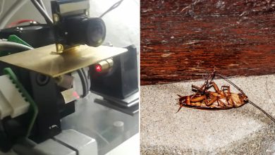 L'invention d'un robot chargé d'éliminer les cafards grâce à un laser d'une portée de 1,2 mètre de distance.