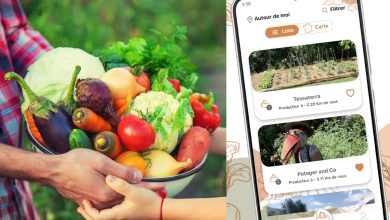 LEAFapp est une application SOLIDAIRE qui facilite l’accès à une alimentation saine et locale