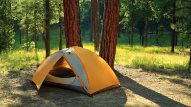 Les meilleurs endroits pour louer dans un camping en famille