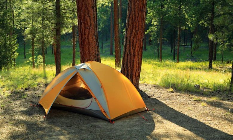 Les meilleurs endroits pour louer dans un camping en famille