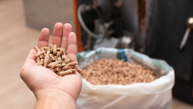 Au Broc dans les Alpes-Maritimes, la commune a remplacé les pellets de bois par des pellets fabriqués à partir de noyaux d'olives !